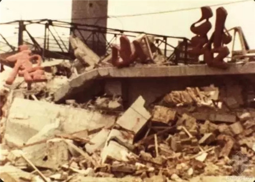 談談城市園林的抗震減災功能