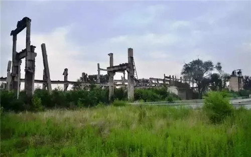 談談城市園林的抗震減災功能