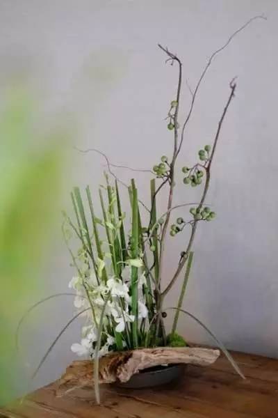 關于茶藝中用到的那些插花