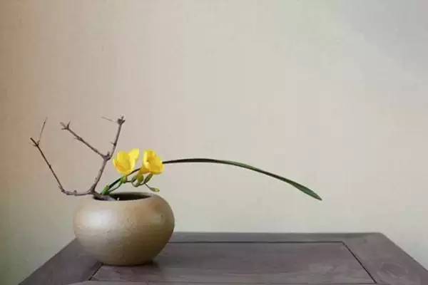 關于茶藝中用到的那些插花