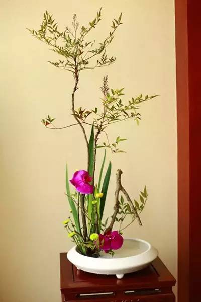 關于茶藝中用到的那些插花