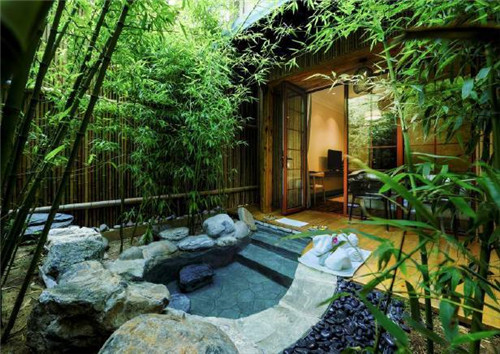 北京五環(huán)內(nèi)竟然有座“城市森林”?