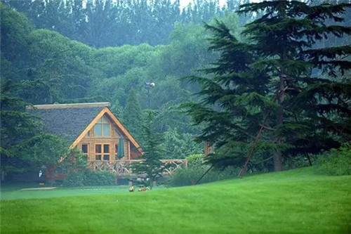 北京五環(huán)內(nèi)竟然有座“城市森林”?