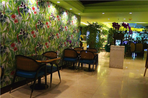 北京五環內竟然有座“城市森林”？