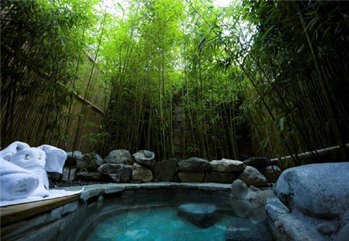 北京五環(huán)內(nèi)竟然有座“城市森林”?