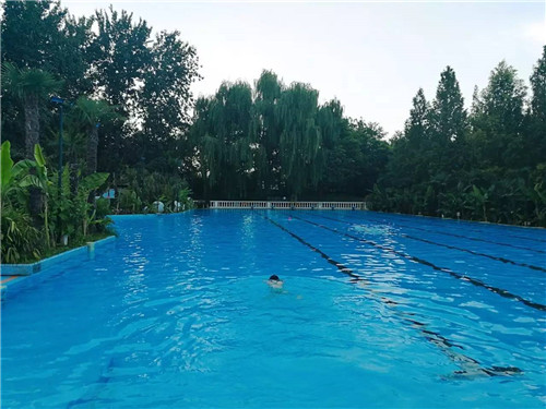 北京五環(huán)內(nèi)竟然有座“城市森林”?