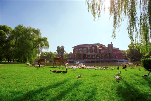 北京五環(huán)內(nèi)竟然有座“城市森林”？