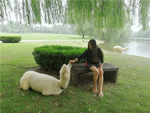 北京五環內竟然有座“城市森林”?