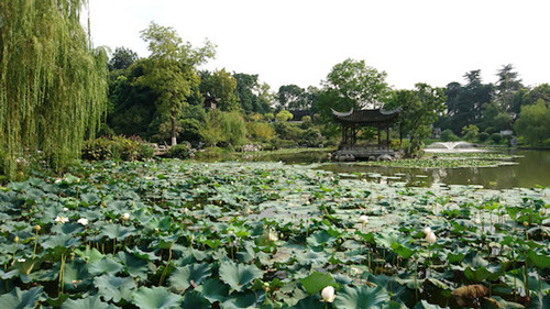 兩座南京明代造園如何重獲新生（多圖）