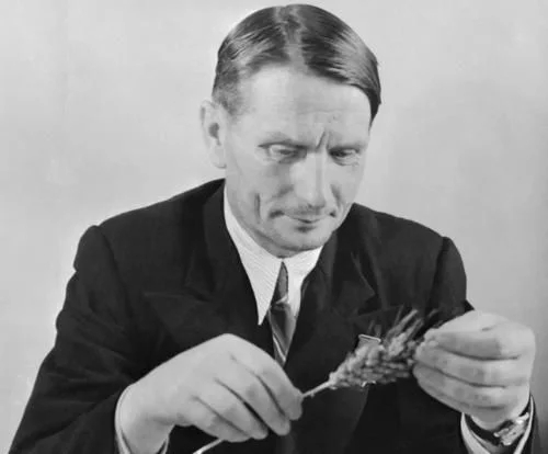 植物有隱藏的記憶？