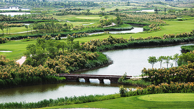 河北滄州：鹽堿灘上崛起生態城