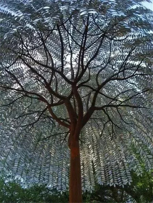 這些千年古樹，都是寶物啊