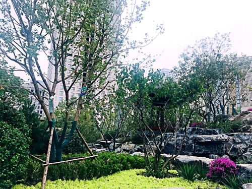 園冶杯專業獎：天津譽峰園園林景觀工程