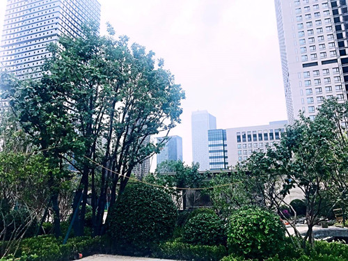 園冶杯專業獎：天津譽峰園園林景觀工程