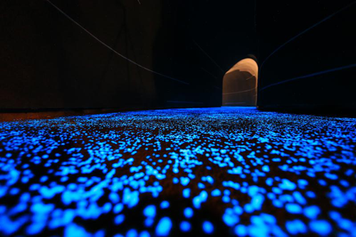 園冶杯專業(yè)獎(jiǎng)：天津團(tuán)泊鴻坤理想城景觀設(shè)計(jì)