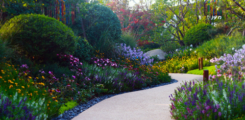 園冶杯專業(yè)獎(jiǎng)：天津團(tuán)泊鴻坤理想城景觀設(shè)計(jì)