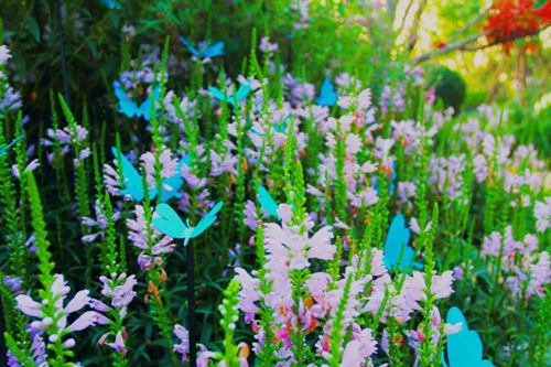 園冶杯專業(yè)獎(jiǎng)：天津團(tuán)泊鴻坤理想城景觀設(shè)計(jì)