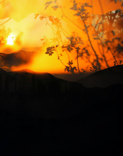 園冶杯專業(yè)獎(jiǎng)：天津團(tuán)泊鴻坤理想城景觀設(shè)計(jì)