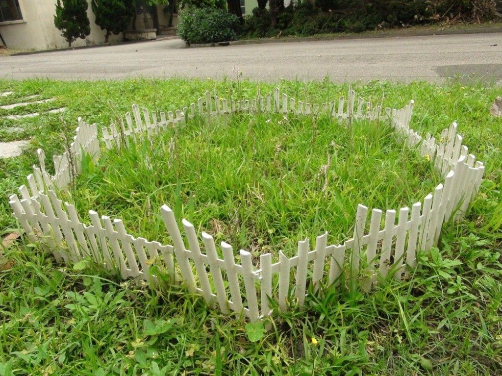 看到這個雜草千萬不要砍，是瀕危野生植物