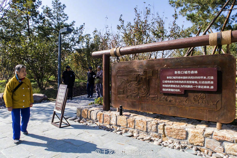 北京新街口再添城市森林公園 恢復宜居環境