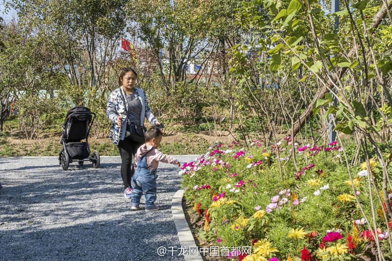 北京新街口再添城市森林公園 恢復宜居環境