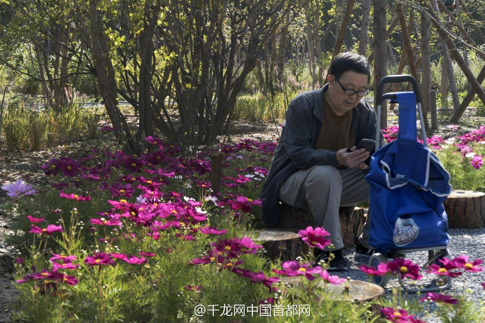 北京新街口再添城市森林公園 恢復宜居環境