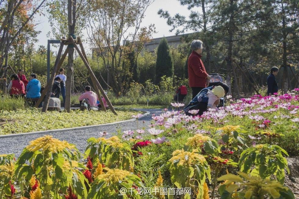 北京新街口再添城市森林公園 恢復宜居環境