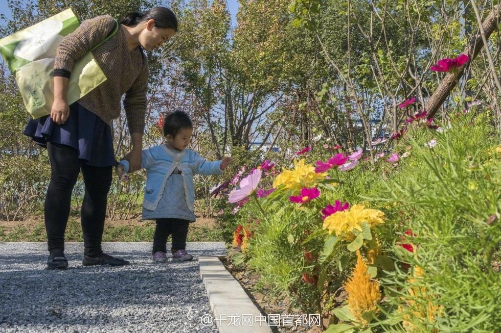 北京新街口再添城市森林公園 恢復宜居環境