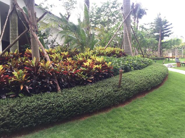 專業(yè)獎(jiǎng)：海南省瓊海市和順小區(qū)一期改造工程