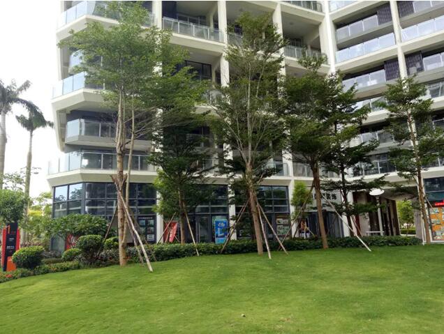 專業(yè)獎(jiǎng)：海南省瓊海市和順小區(qū)一期改造工程