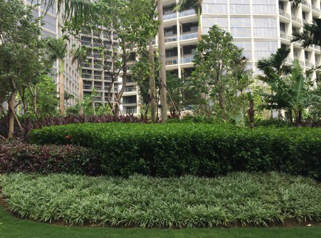 專業(yè)獎(jiǎng)：海南省瓊海市和順小區(qū)一期改造工程