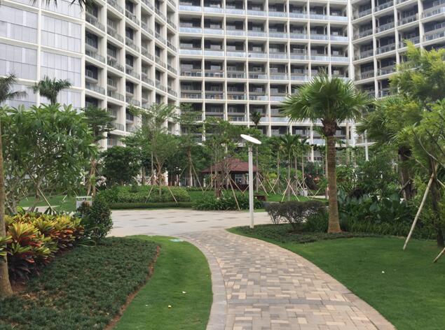 專業(yè)獎(jiǎng)：海南省瓊海市和順小區(qū)一期改造工程