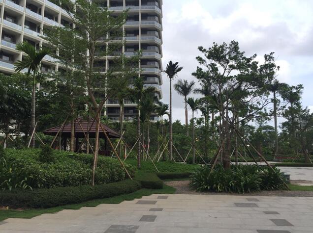 專業(yè)獎(jiǎng)：海南省瓊海市和順小區(qū)一期改造工程