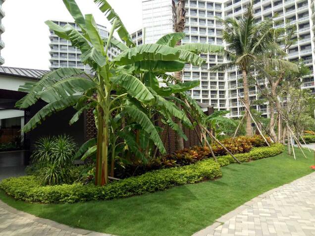 專業(yè)獎(jiǎng)：海南省瓊海市和順小區(qū)一期改造工程