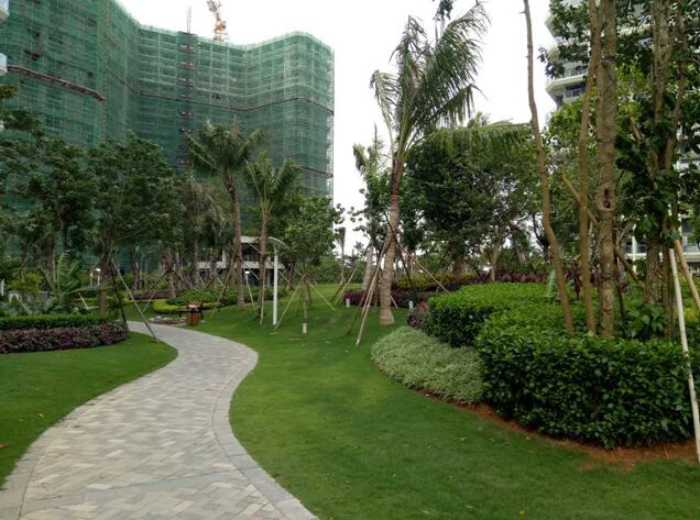 專業(yè)獎(jiǎng)：海南省瓊海市和順小區(qū)一期改造工程