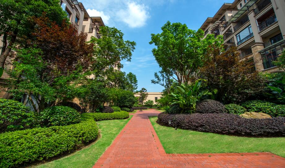 2017園冶杯專業(yè)獎：金科?中央公園城