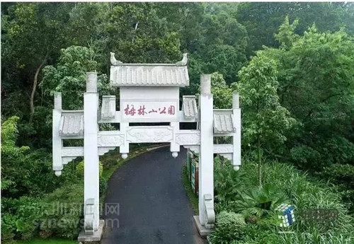 古樹寺廟和綠道，走進梅林人的后花園