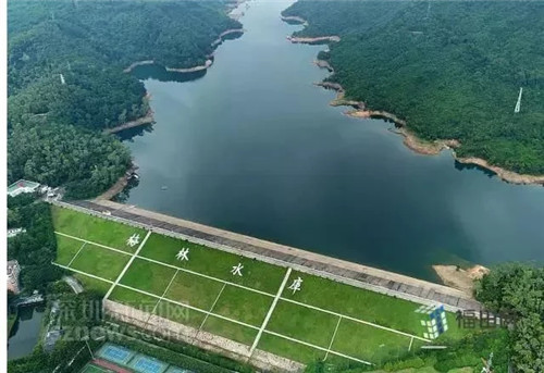 古樹寺廟和綠道，走進梅林人的后花園