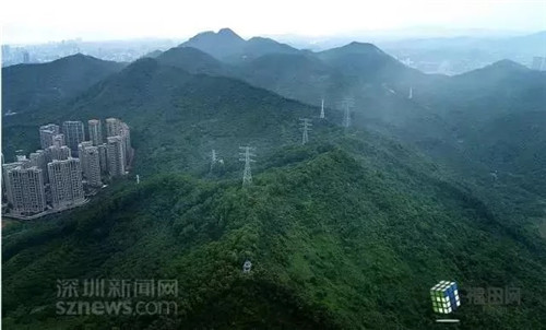 古樹寺廟和綠道，走進梅林人的后花園