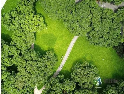 古樹寺廟和綠道，走進梅林人的后花園