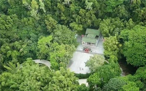 古樹寺廟和綠道，走進梅林人的后花園