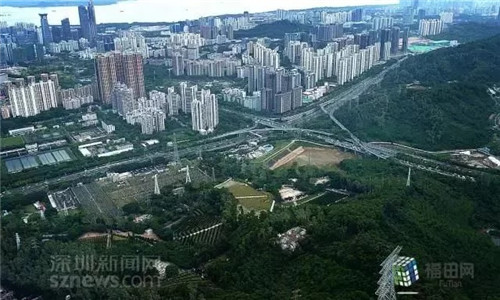 古樹寺廟和綠道，走進梅林人的后花園