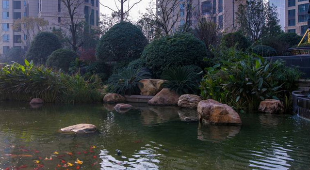 晟通?梅溪湖國際總部中心（一期）園林景觀工程