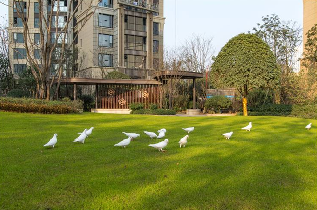 晟通?梅溪湖國際總部中心（一期）園林景觀工程