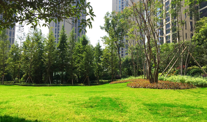 晟通?梅溪湖國際總部中心（一期）園林景觀工程