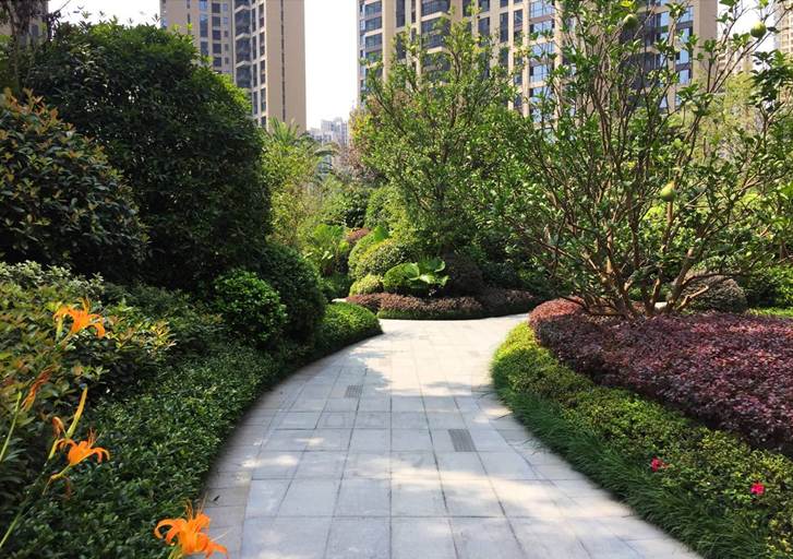 晟通?梅溪湖國際總部中心（一期）園林景觀工程