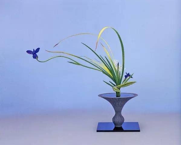 中式、日式、西式插花,最大的區別是什么?