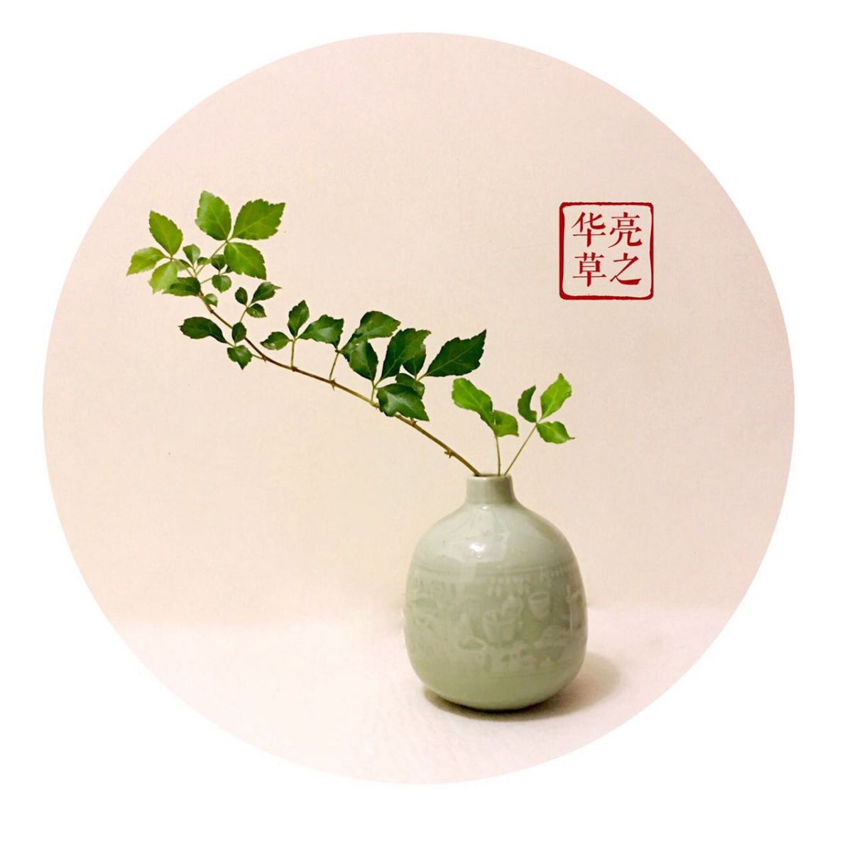 中式插花的布局技巧