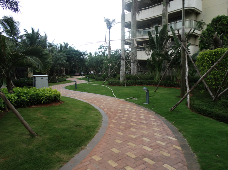 專業獎：白金海岸二期園林景觀綠化工程