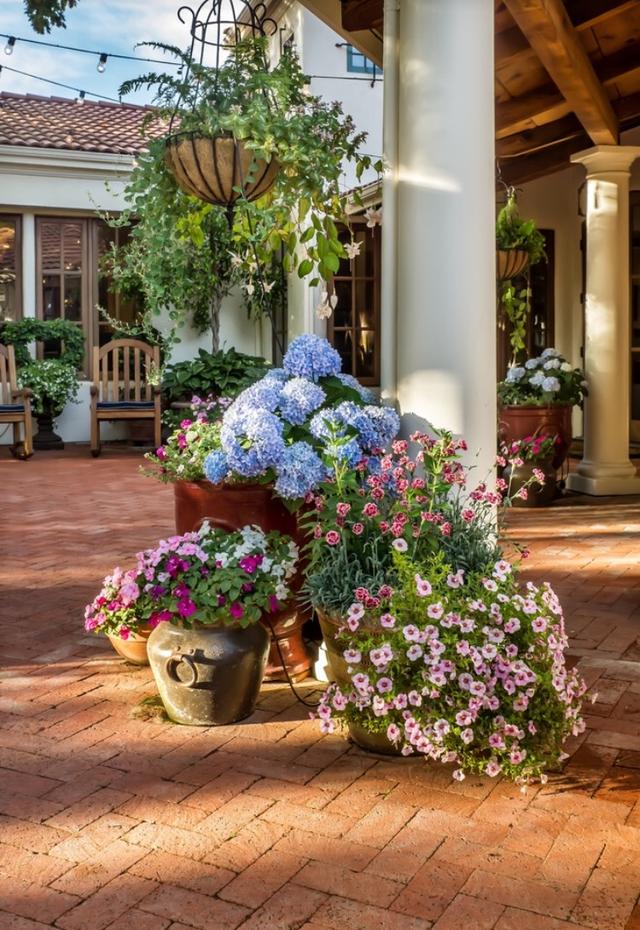 庭院設(shè)計欣賞